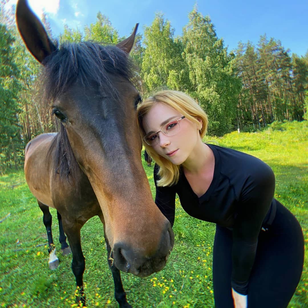 Свити Фокси