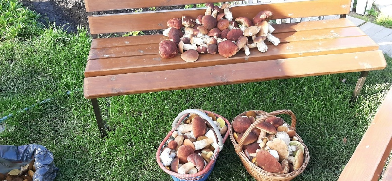 Андрей Лысенков | Гатчина