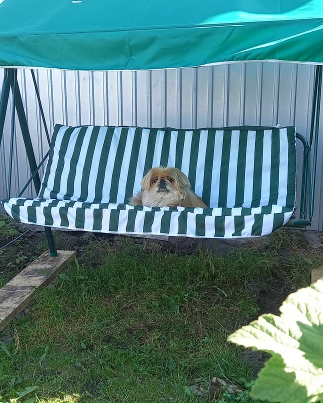 Оксана Симонова | Саянск