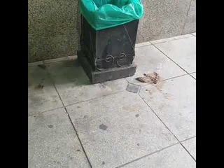 Вопиющая картина в центре Владивостока