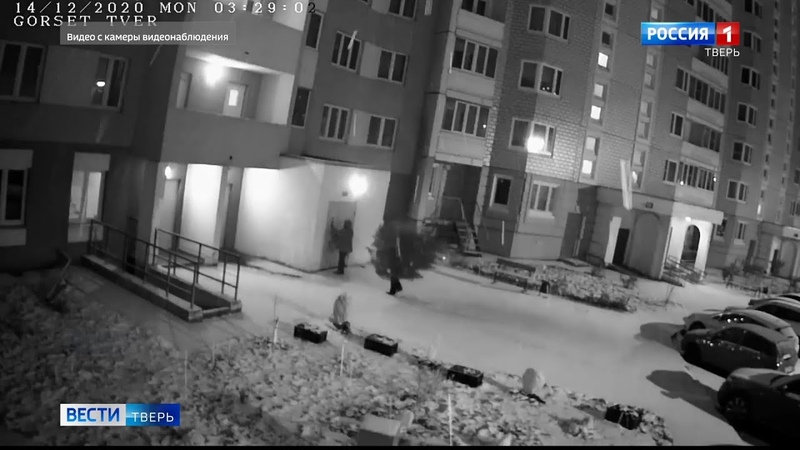 Новогоднее преступление: житель Твери срубил соседскую