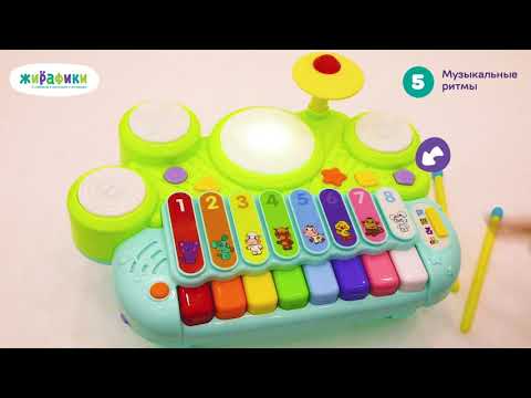 Развивающий игровой центр Музыкант: обуч. реж. и песенки на