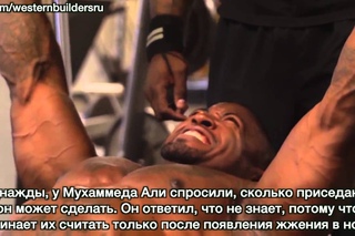 Перетренировка грудных. Майк Рашид + CT Fletcher gthtnhtybhjdrf uhelys[. vfqr hfibl + ct fletcher