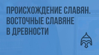 Серия видео от Инфоурока