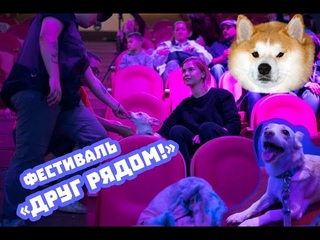 Фестиваль ДРУГ РЯДОМ / МНОГО СОБАК!
