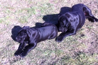 Naomi and Joker. Mother and son.
