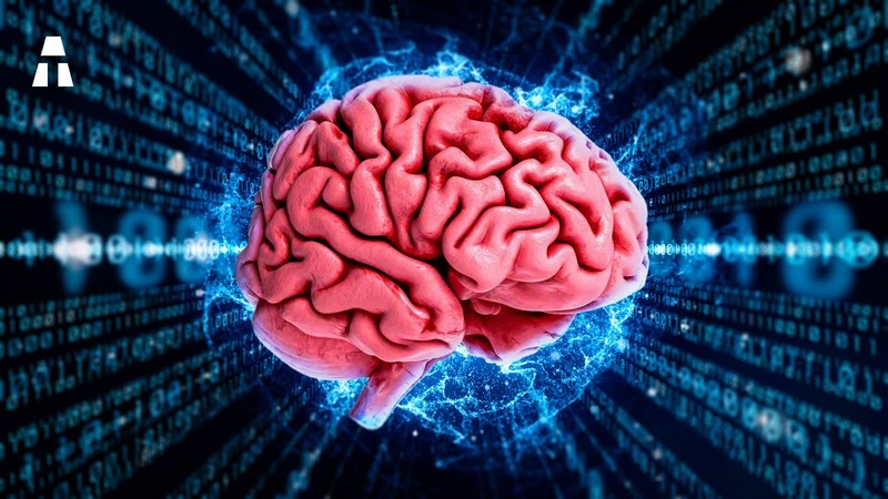 Ce Projet FOU d Ordinateur à Partir de Cellules du Cerveau