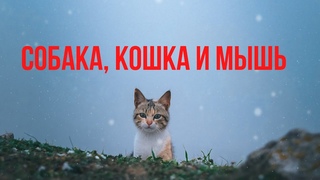 Собака, кошка и мышь| Монгольская сказка