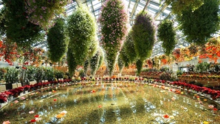 Begonia Garden NABANA no SATO  2023 4K