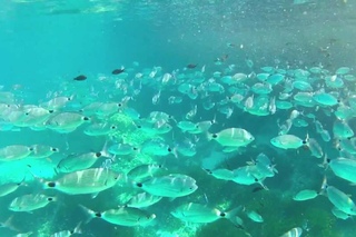 Snorkeling in S’Olla