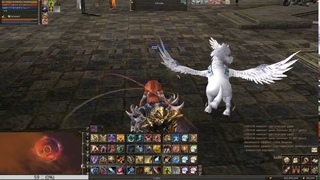 Lineage II : Epic Tales of Aden Episode V / Salvation : Orfen