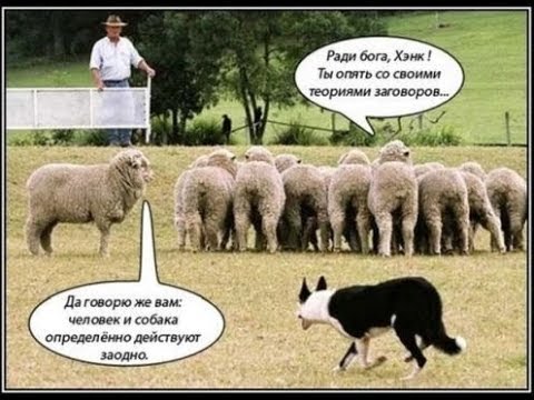 Существует ли русская конспирология (альтернативщики,