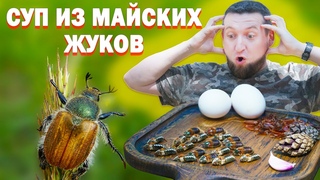 Суп из МАЙСКИХ жуков | Это вообще можно есть?!