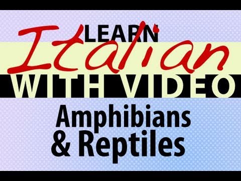 Learn Italian with Video Amphibians and