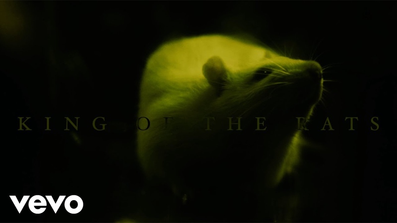 Bodysnatcher King of the Rats ( Official Music