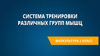Система тренировки различных групп мышц