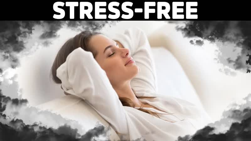 Never Be Stressed Out