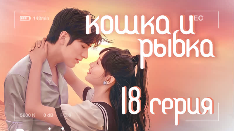 Озвучка w3 18, 24 Кошка и рыбка, Perfect