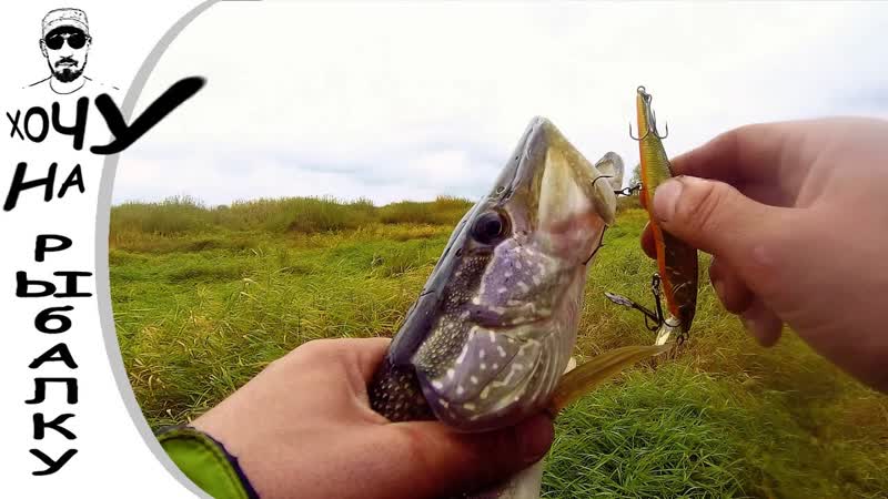 НЕВЕРОЯТНО МЫ ПОСВЯТИЛИ РЫБАЛКЕ ВЕСЬ ДЕНЬ мы все же нашли