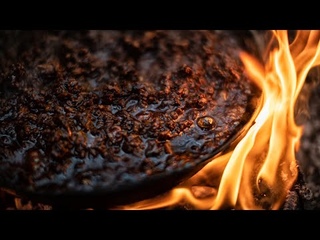 Worlds Hottest Chili - Carolina Reaper