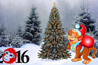 Umman - Yeni il 2016
