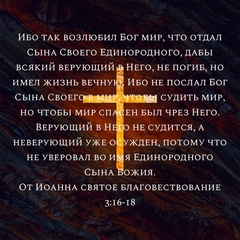 Павел Текутьев - видео и фото