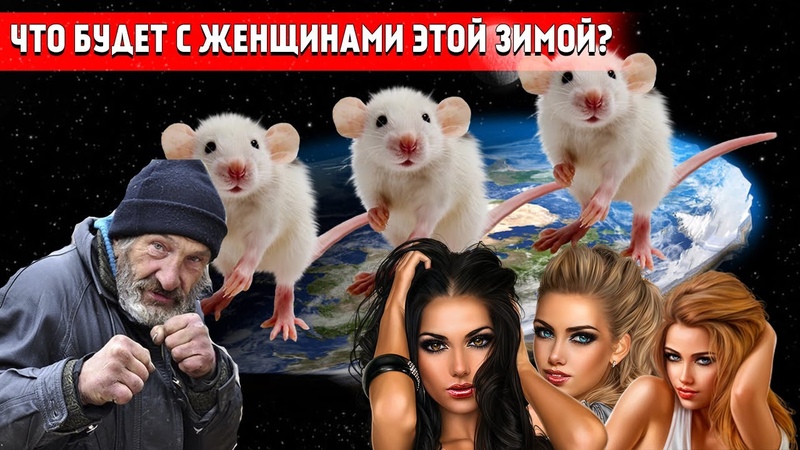 Что будет с женщинами в ближайшем будущем, РСП и другие