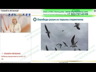 Лузгинова С.В. 2021-10-28 «Осознанное освобождение от отрицательных энергоструктур 14-2»#кфскольцова