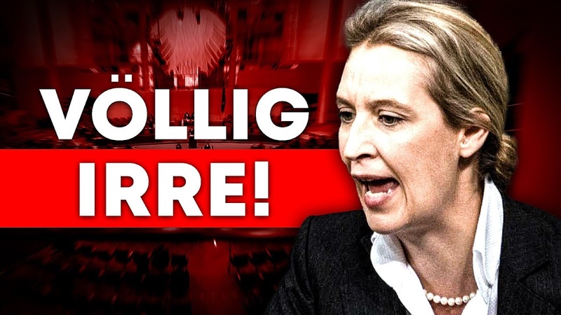 Der große AFD Faktencheck ( Alice Weidel im