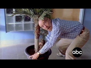 Breaking Bad The Sitcom Part 9