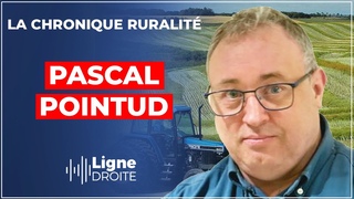 Les lus LFI n'ont absolument rien  voir avec la Rpublique ! - Pascal Pointud