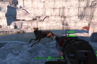 Fallout 4 glitch: Dogmeat swimming in midair