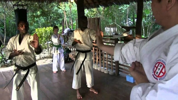 Shito ryu with V.