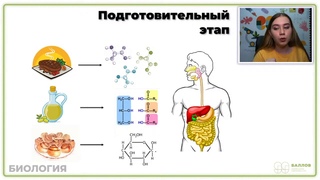 КАТАБОЛИЗМ | БИОЛОГИЯ | ЕГЭ 2021 | 99 БАЛЛОВ“