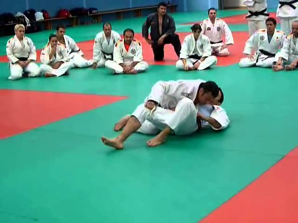 01 Congreso Madrileño de Jiu Jitsu 2014 ( Robin