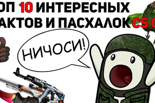 ТОП 10 ИНТЕРЕСНЫХ ФАКТОВ И ПАСХАЛОК CS GO!