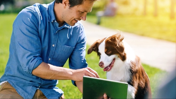 Introducing Google Play for