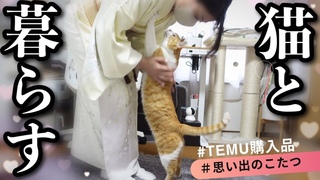 TEMU3